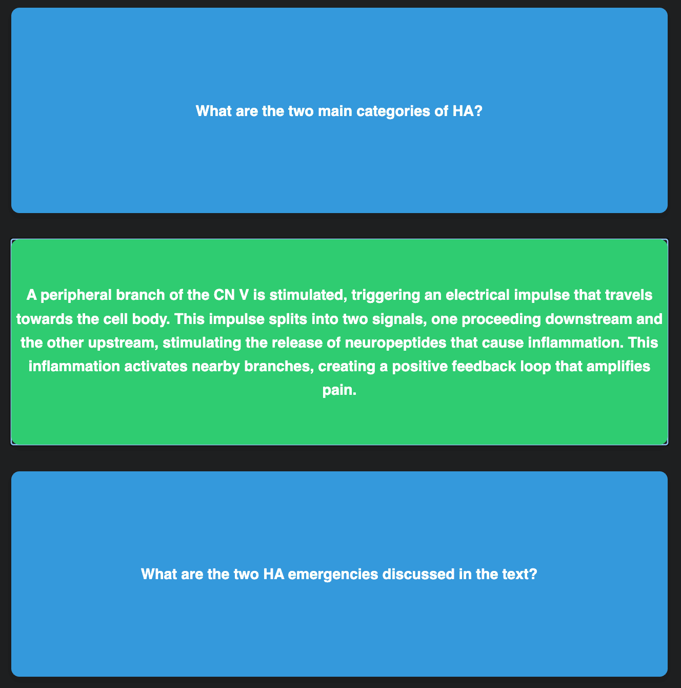 Flashcards stream