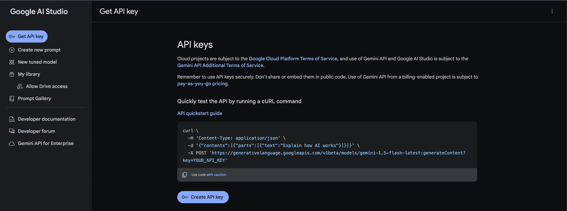 Picture of Google AI Studio UI.